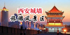 小穴xxxx中国陕西-西安城墙旅游风景区