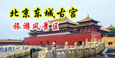 大胸美女舔完鸡巴就挨操中国北京-东城古宫旅游风景区